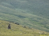 p1020075
