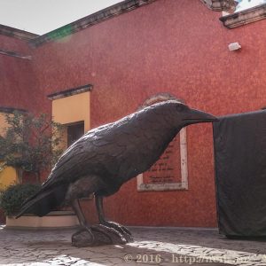 Giant raven in Tequila